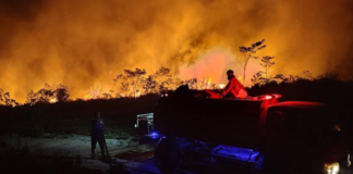 804 Hotspot Karhutla Terdeteksi di Kalbar, Ketapang Paling Banyak dengan 533 Titik Polda Kalbar mencatat 804 titik hotspot dalam monitoring karhutla periode enam jam hingga 21 Agustus 2026 pukul 14.00 WIB. Kabupaten Ketapang menjadi wilayah dengan jumlah hotspot terbanyak, yakni 533 titik kategori medium.