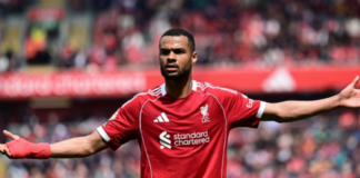 Cody Gakpo Diincar Manchester City, Liverpool Tak Mau Lepas Sembarangan Cody Gakpo menjadi incaran Manchester City setelah klub tersebut membutuhkan tambahan kekuatan di lini serang.