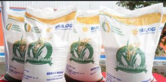 Bantuan Beras 30 Kg Agustus 2026 Segera Disalurkan, Begini Cara Cek Penerimanya