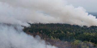 VIRAL! Kabut Asap Karhutla Ganggu Penerbangan di Pontianak, 21 Pesawat Delay Kabut asap akibat kebakaran hutan dan lahan mengganggu jarak pandang di sekitar Bandara Supadio Pontianak, Kalimantan Barat, hingga menyebabkan puluhan penerbangan mengalami keterlambatan.