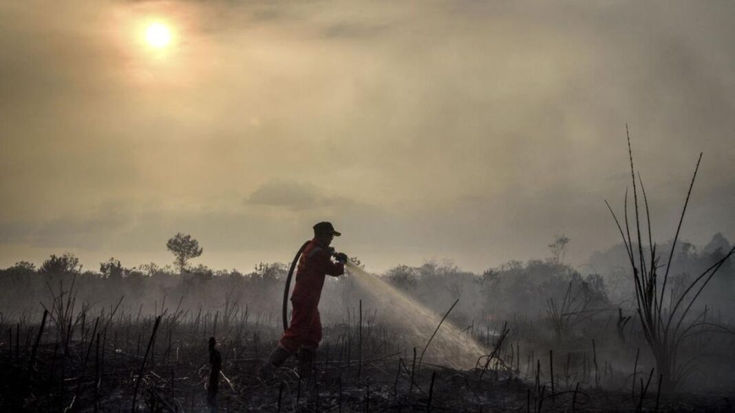 Karhutla Meluas, Pemerintah Kerahkan Operasi Modifikasi Cuaca di Tiga Provinsi