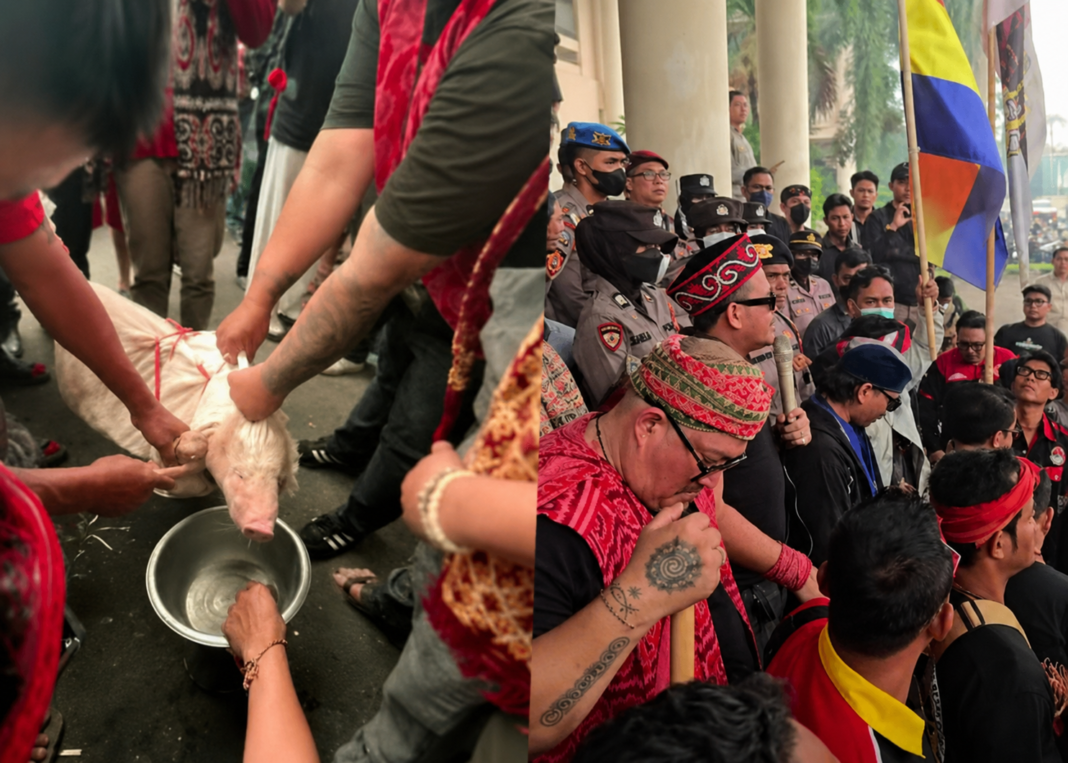 Aksi pemotongan babi mewarnai demonstrasi Aliansi Masyarakat Kalimantan Barat Menggugat di Kantor DPRD Kalbar, Kamis (27/8/2026), sebagai bagian dari penyampaian aspirasi masyarakat.