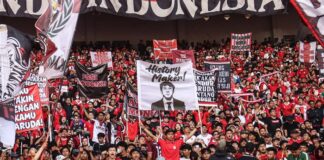 Shin Tae-yong Diminta Balik ke Timnas Indonesia, Begini Respons Iwan Bule