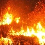 Kebakaran hutan dan lahan di Indonesia memicu kekhawatiran kabut asap lintas batas, sehingga Singapura mengirim pemberitahuan kepada tujuh perusahaan terkait.