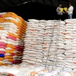Swasembada Beras Diperkuat, Produksi Nasional Capai 34,69 Juta Ton pada 2025
